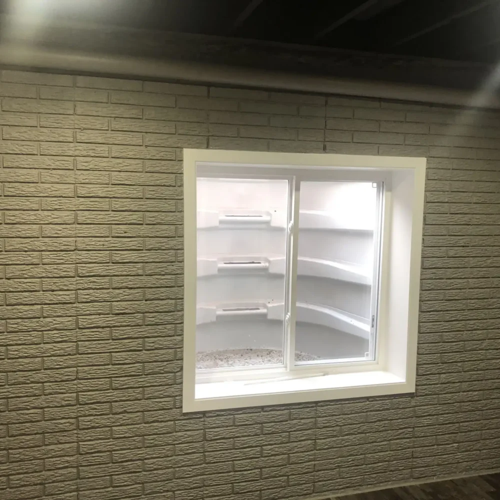 New Basement Window with Ladder